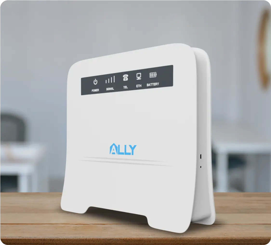 Ally business router placeholder