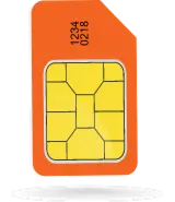 standard-sim